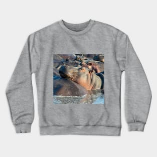 Hippo at Rest in Water with Friends Crewneck Sweatshirt